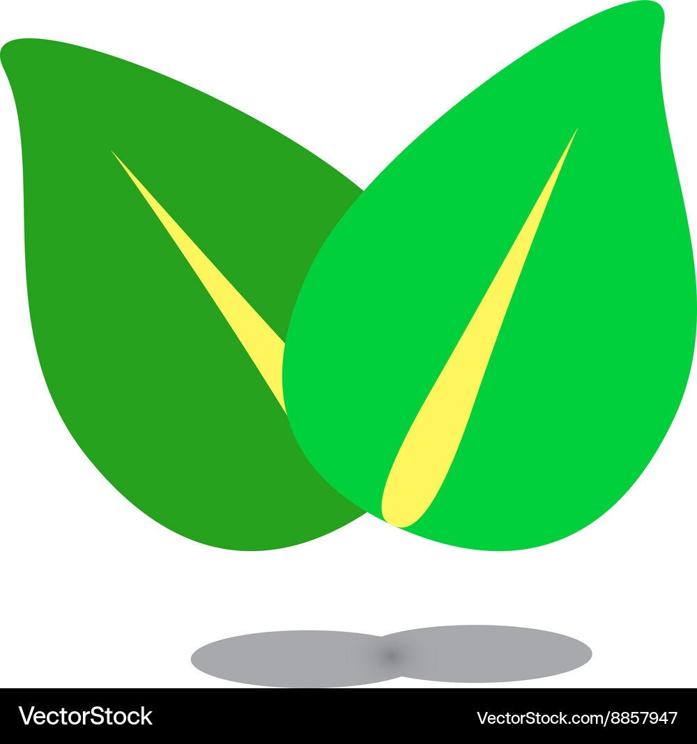 Green leaf eco Royalty Free Vector Image - VectorStock