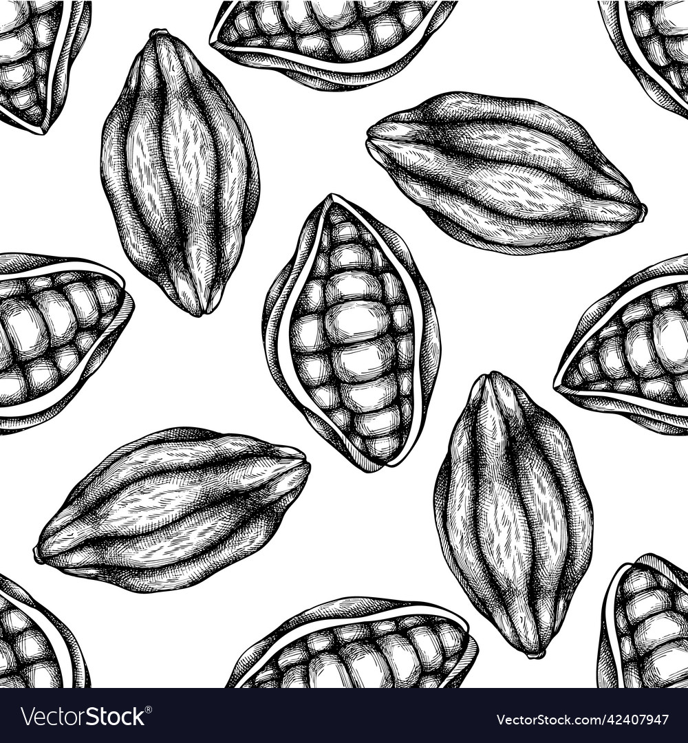 Seamless pattern with black and white cocoa vector image Seamless pattern with black and white cocoa