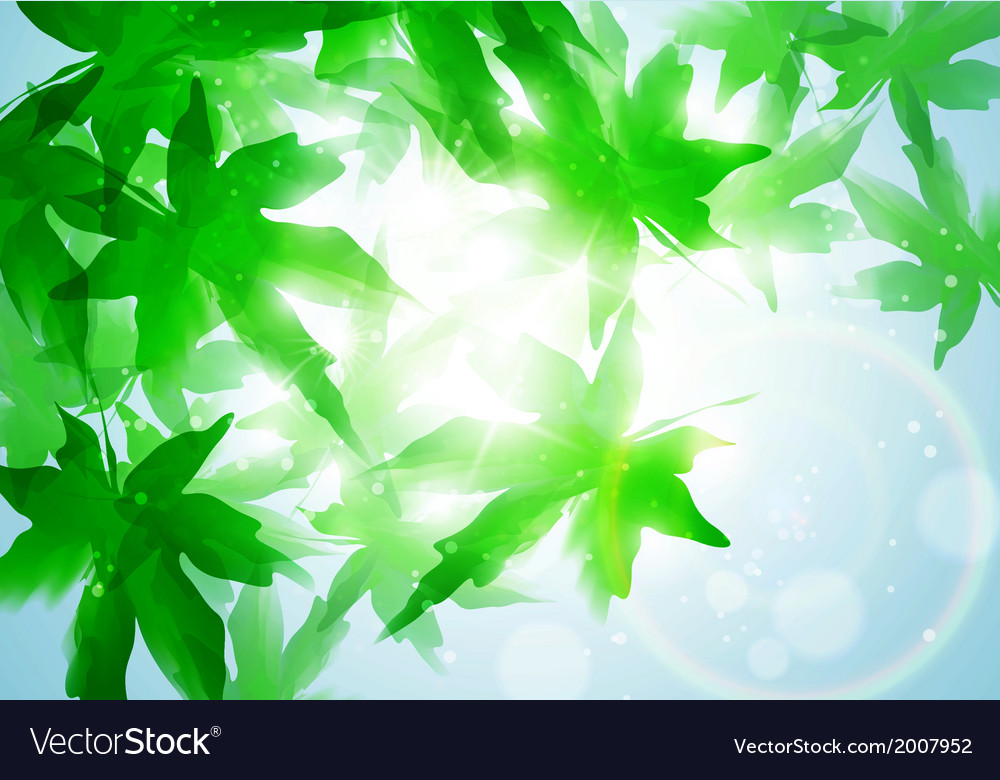 Leaves background
