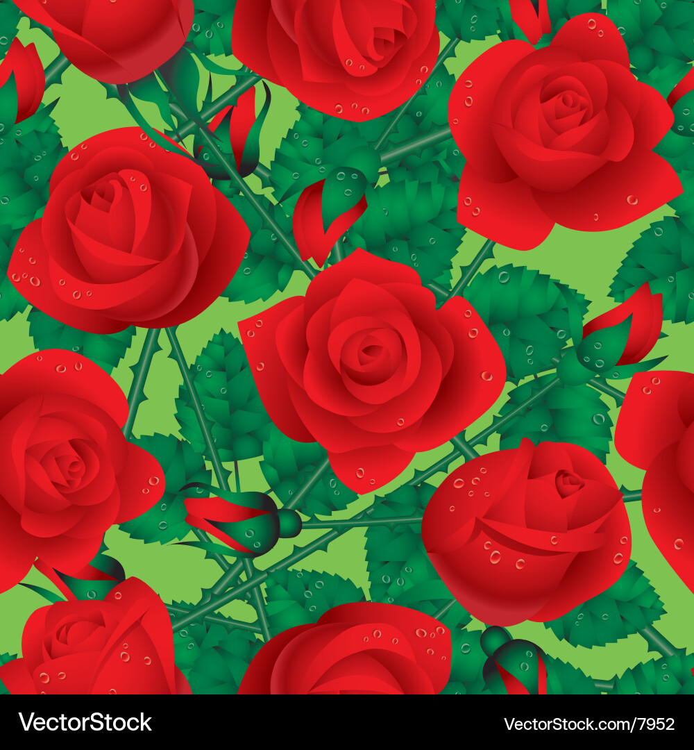 Rose seamless pattern Royalty Free Vector Image