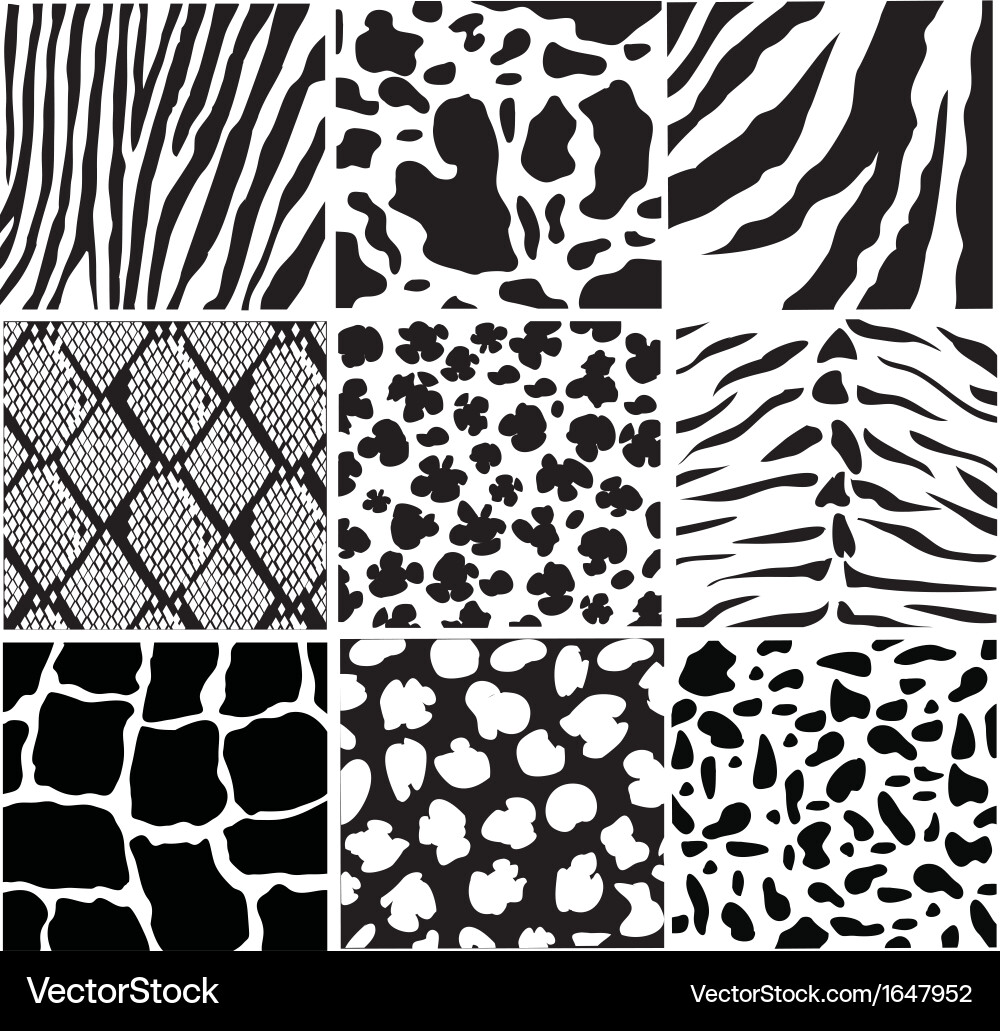 Skin Royalty Free Vector Image - VectorStock