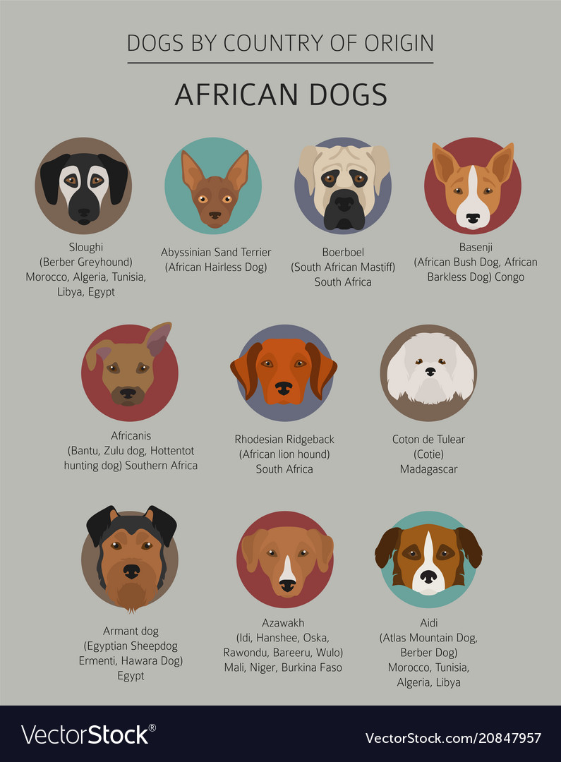 African Dog Breeds by Origin