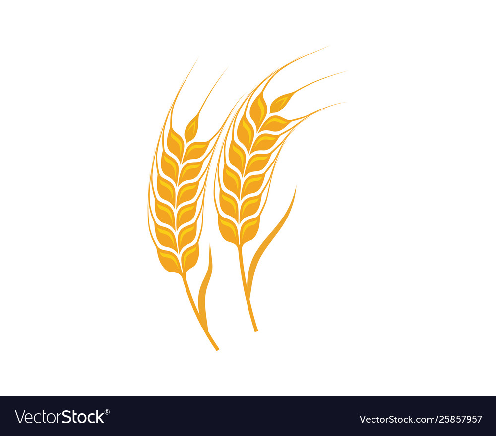 Agriculture wheat template icon design Royalty Free Vector