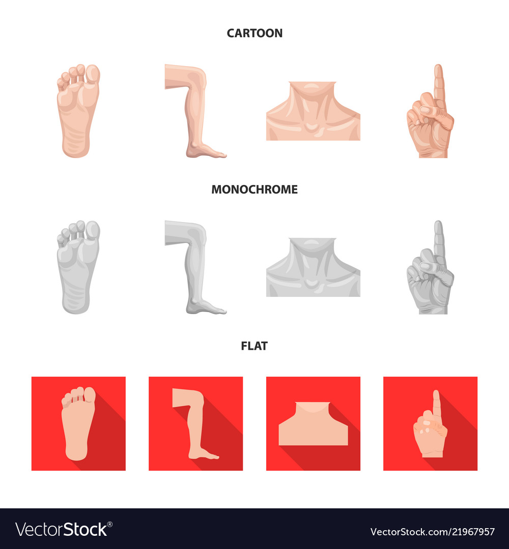 Isolated object of human and part logo set vector image Isolated object of human and part logo set