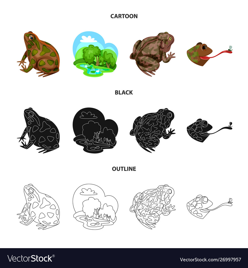 Isolated object wildlife and bog icon set Vector Image Isolated object wildlife and bog icon set
