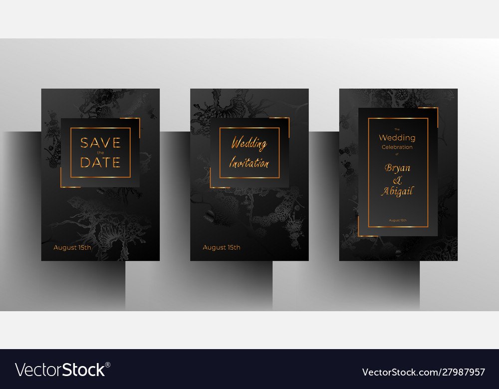 Set wedding invitation templates a simple black Vector Image