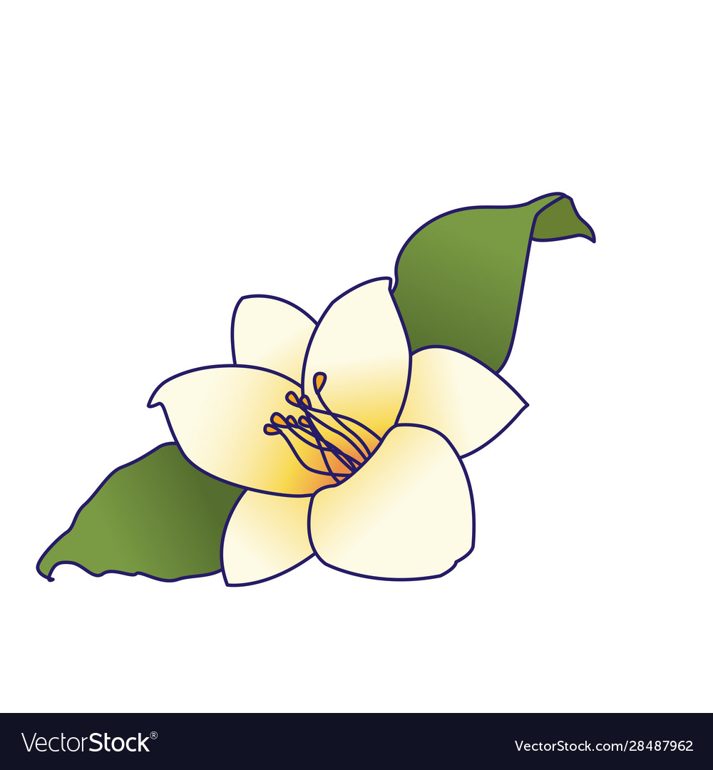 Beautiful flower and leaves icon colorful design Vector Image