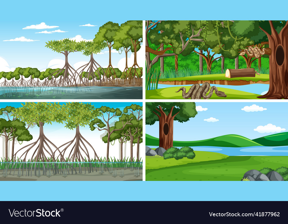 Different empty forest scenes Vector Image Different empty forest scenes