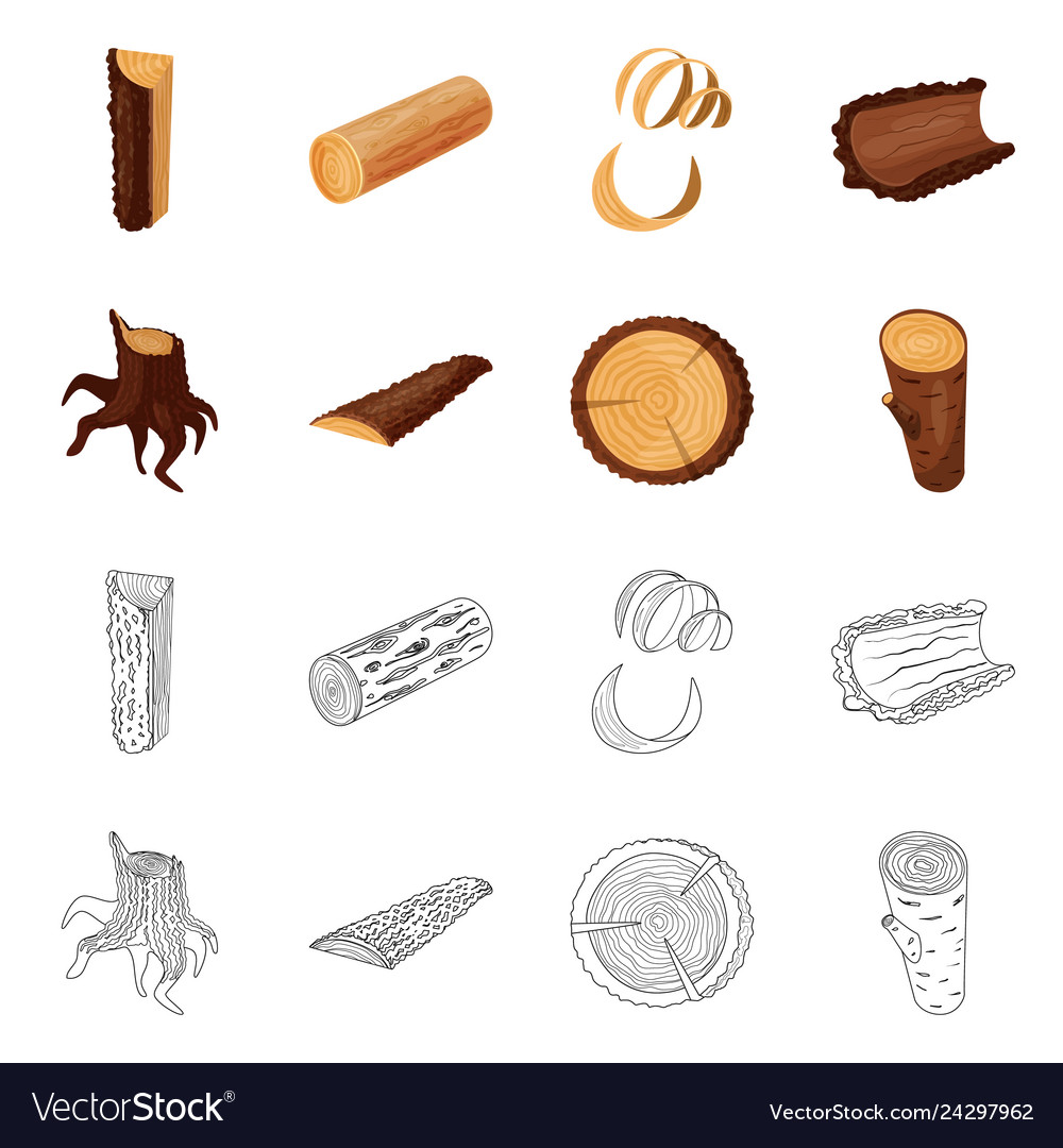 Isolated object of tree and raw sign set Vector Image Isolated object of tree and raw sign set