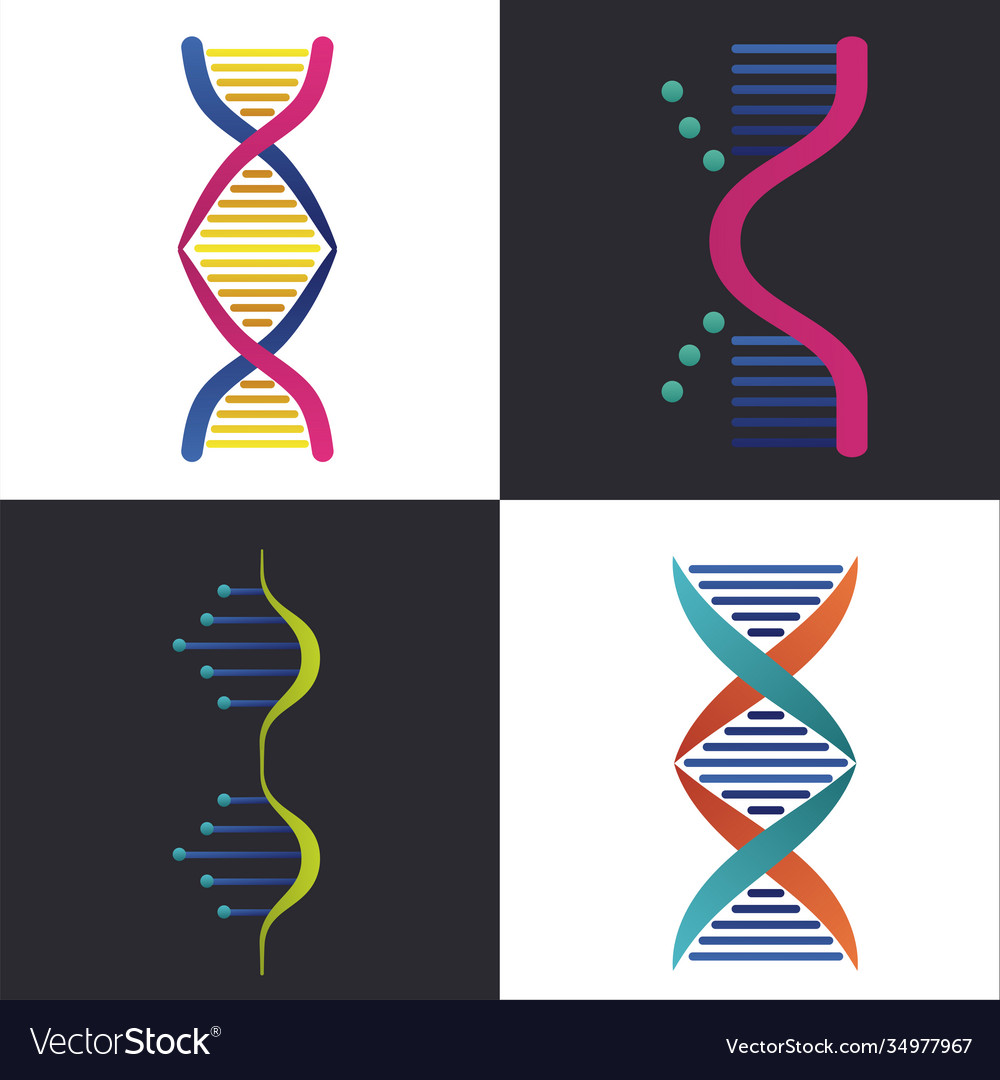 Four dna molecules structures set icons Royalty Free Vector