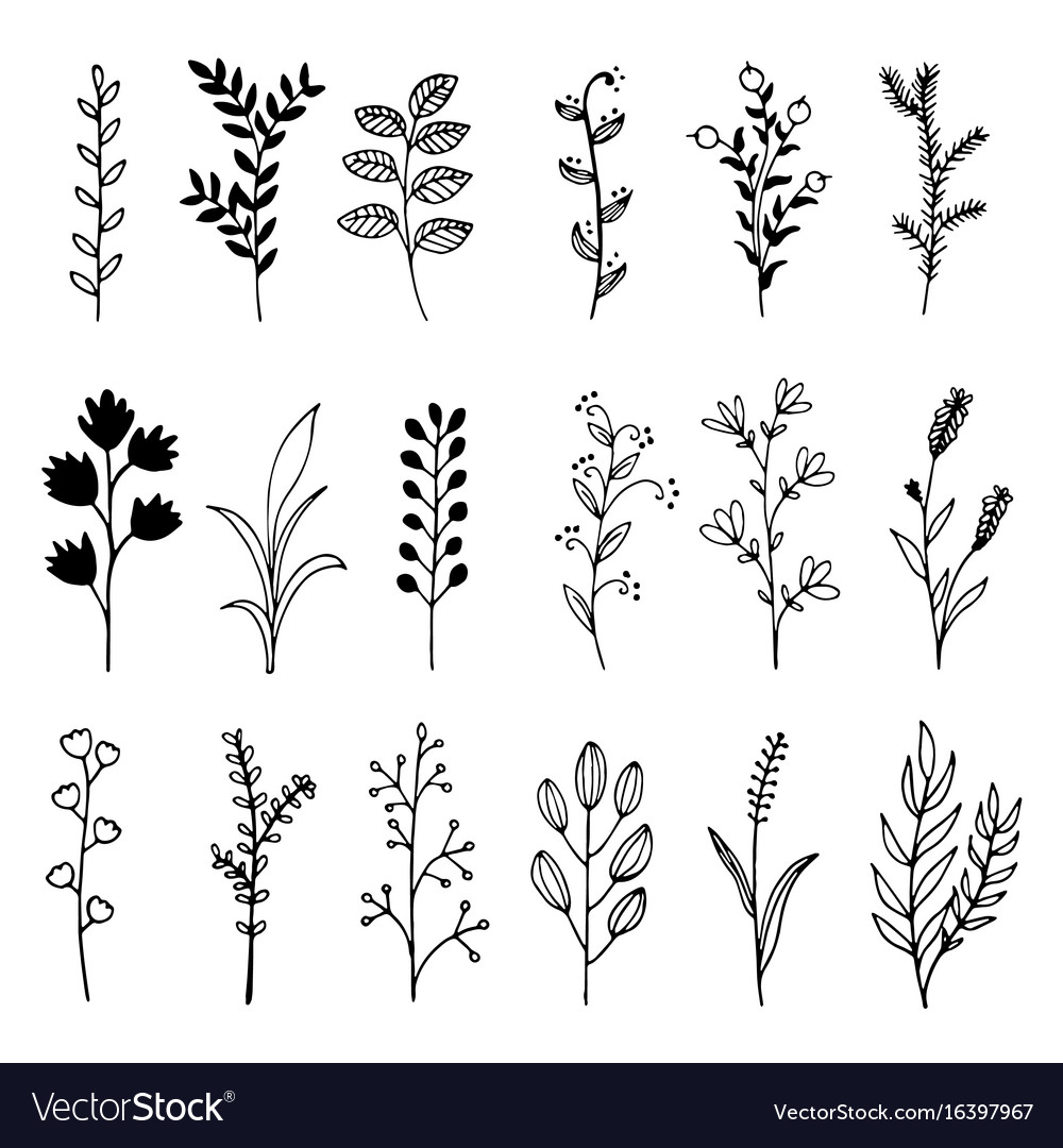 Free Free 213 Hand Drawn Wildflower Svg SVG PNG EPS DXF File