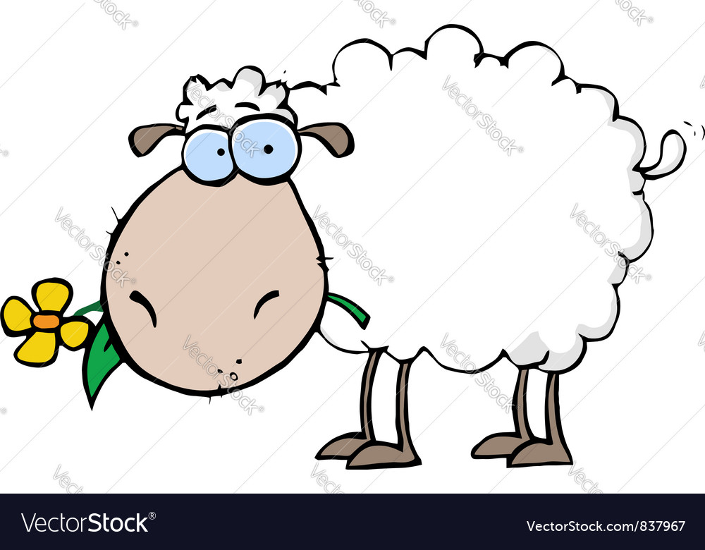Sheep carrying a flower in its mouth