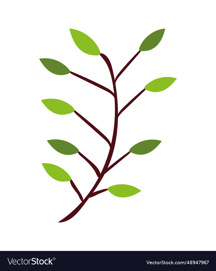 Tree branch
