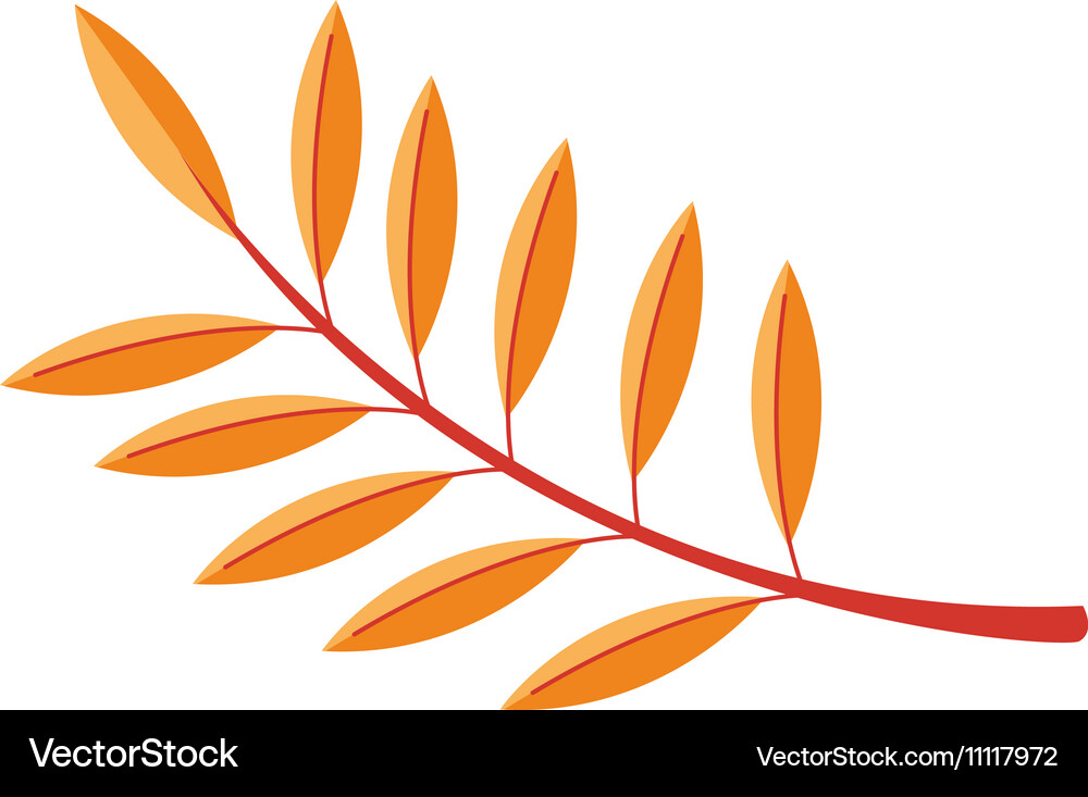 Autumn leaf Royalty Free Vector Image - VectorStock