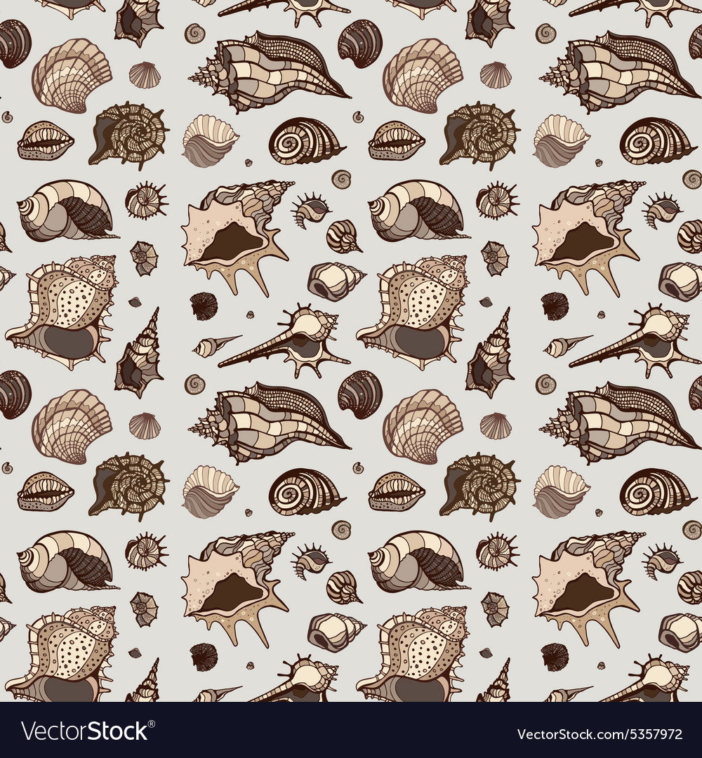 Elegant Seashell Pattern