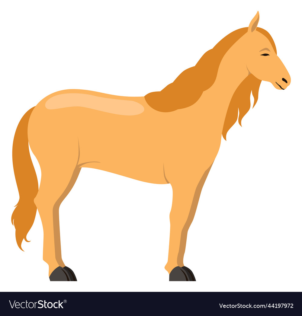 Horse icon farm animal domestic stallion vector image