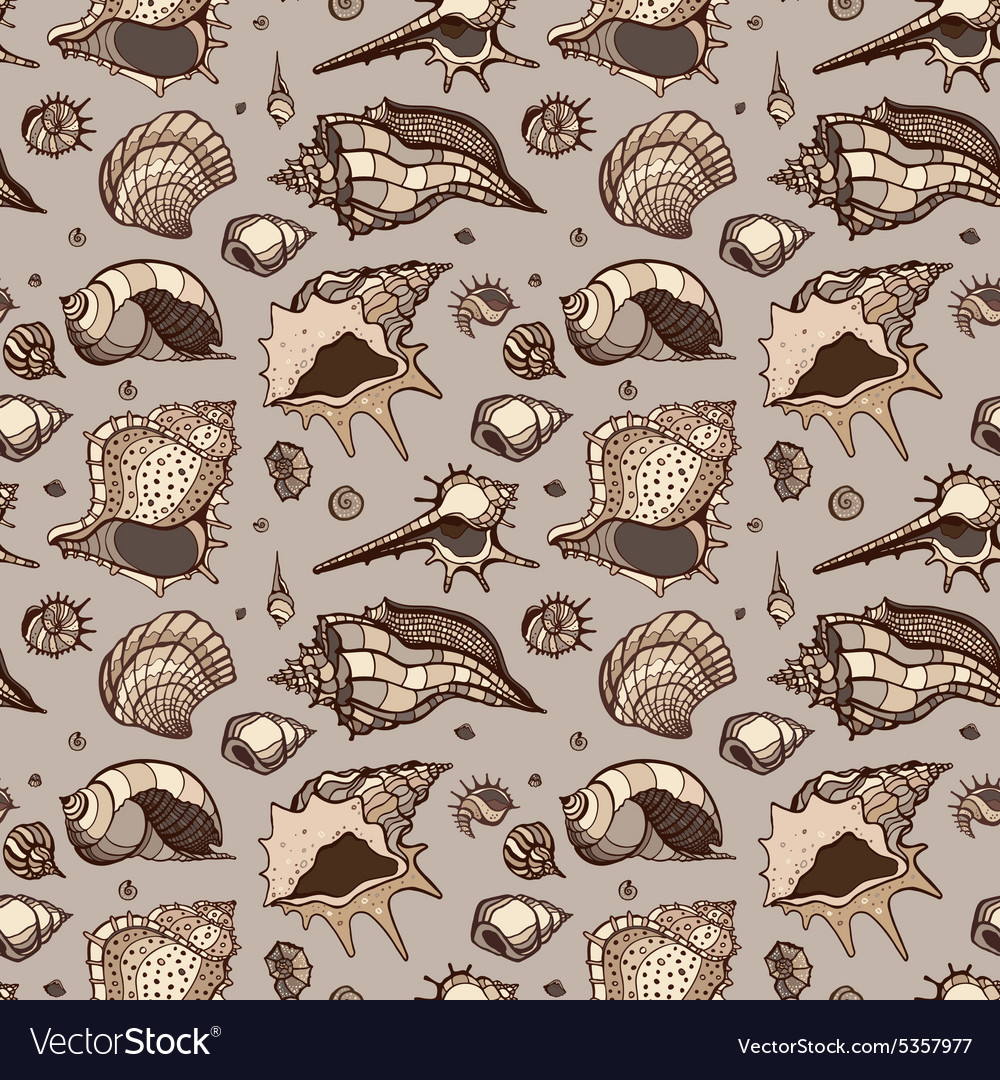 Elegant Seashell Pattern