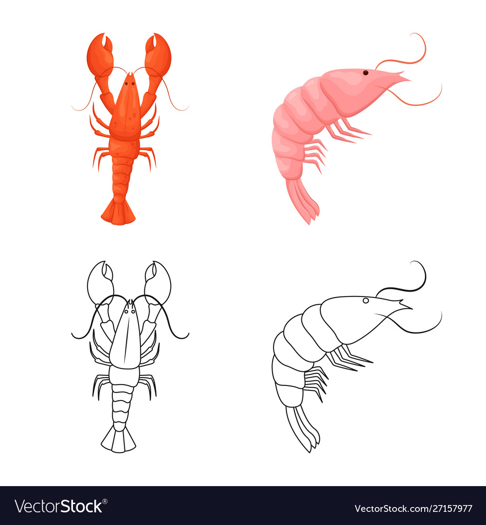 Isolated object appetizer and ocean symbol set