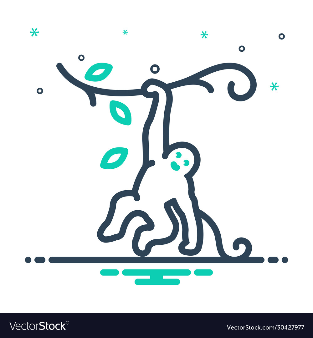 Monkey on tree