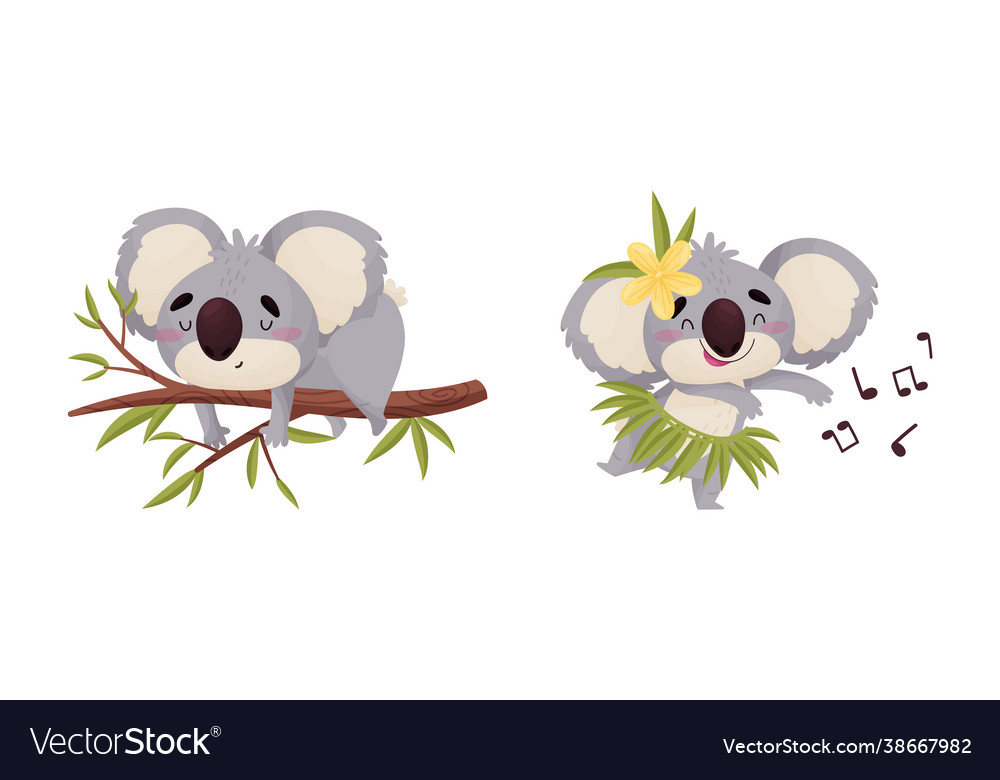 Cute gray koala bear sleeping on tree branch