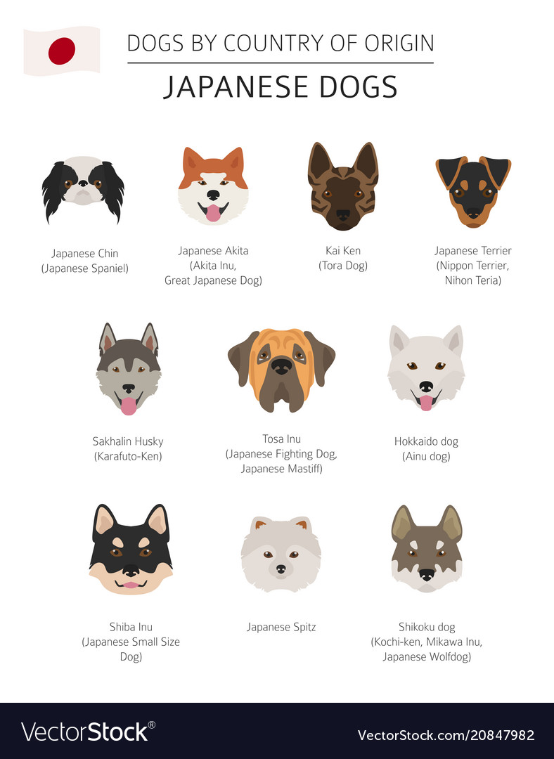 japanese puppy breeds