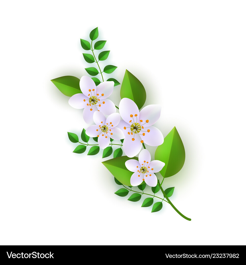Floral composition Royalty Free Vector Image - VectorStock