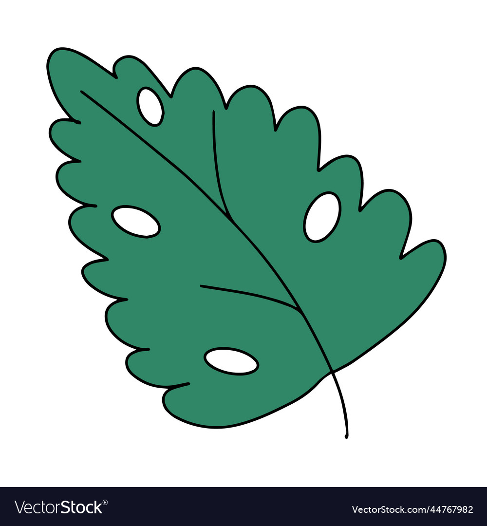 Fresh natural green leaf colored with stroke Vector Image