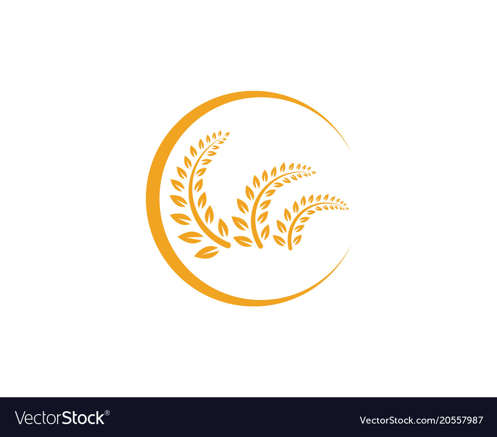 Agriculture rice food meal logo and symbols