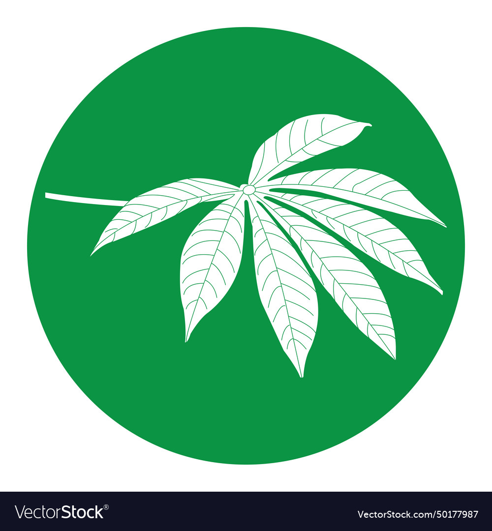 Cassava Leaf Icon Royalty Free Vector Image Vectorstock 3703