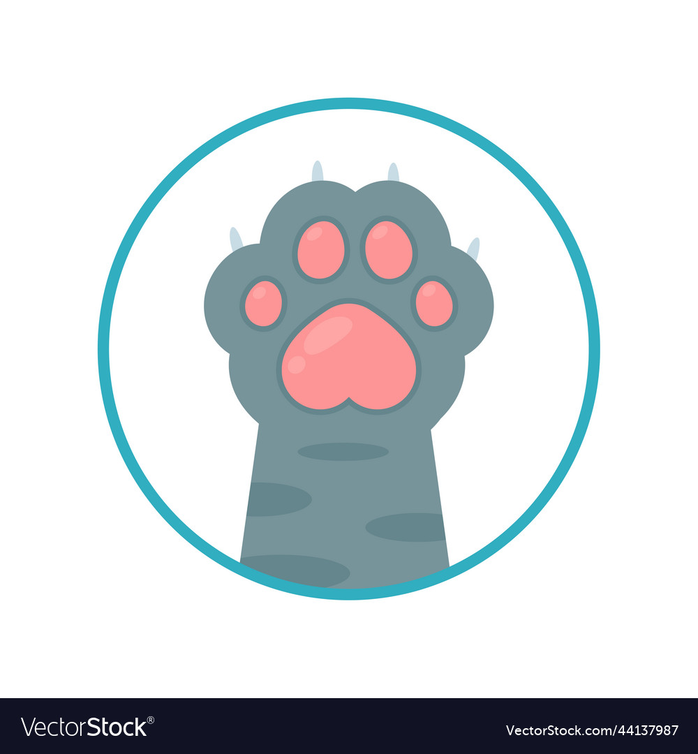 Cat paw set different species cute kitten hand