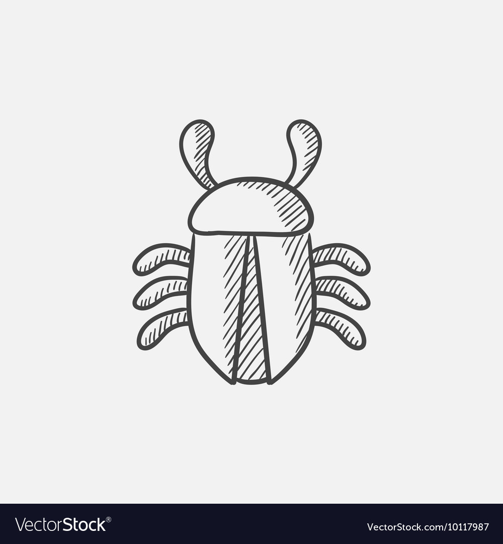 Computer bug sketch icon