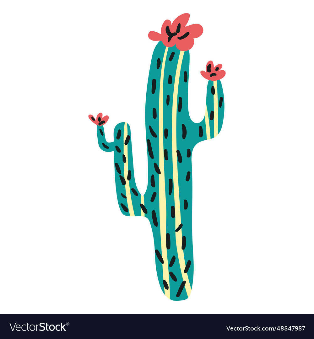 Flat boho cactus Royalty Free Vector Image - VectorStock