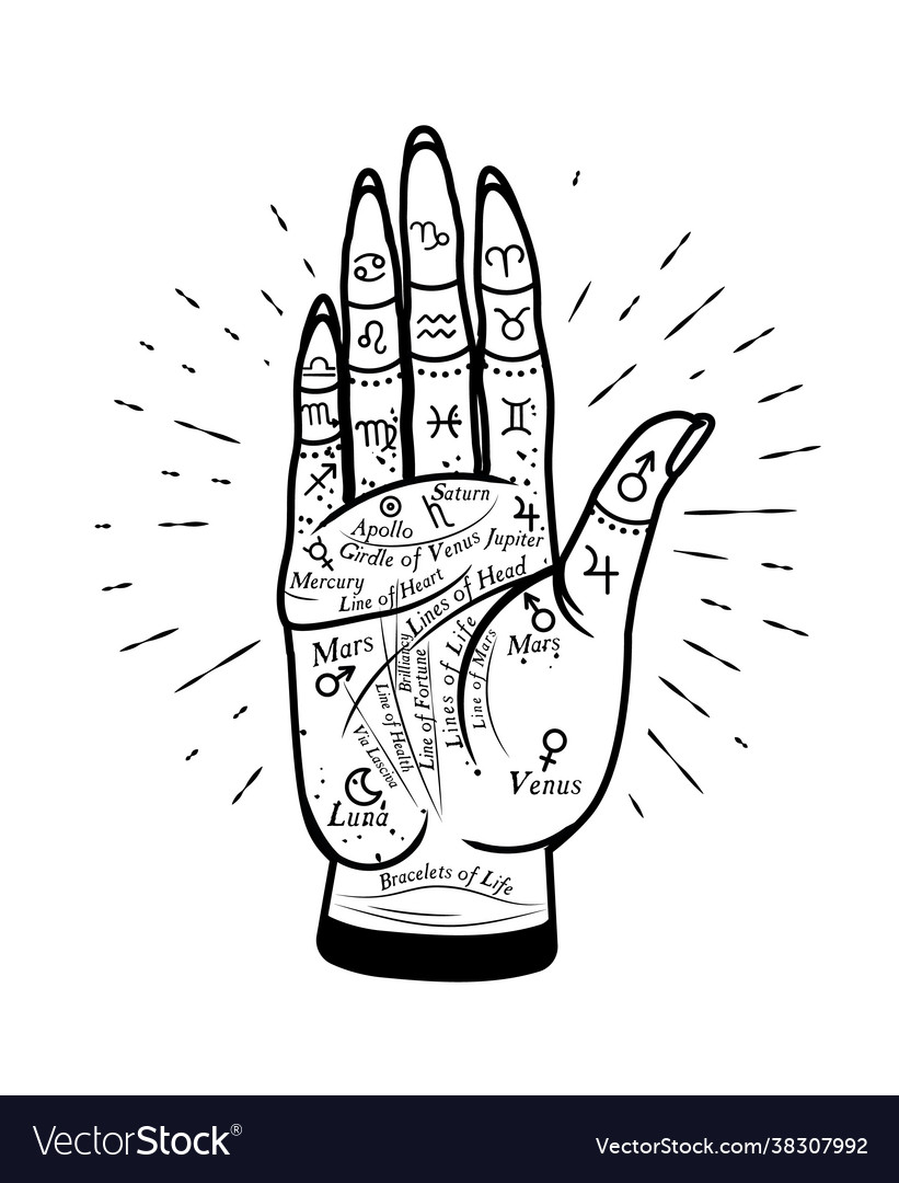 Palmistry mystic hand graphic Royalty Free Vector Image