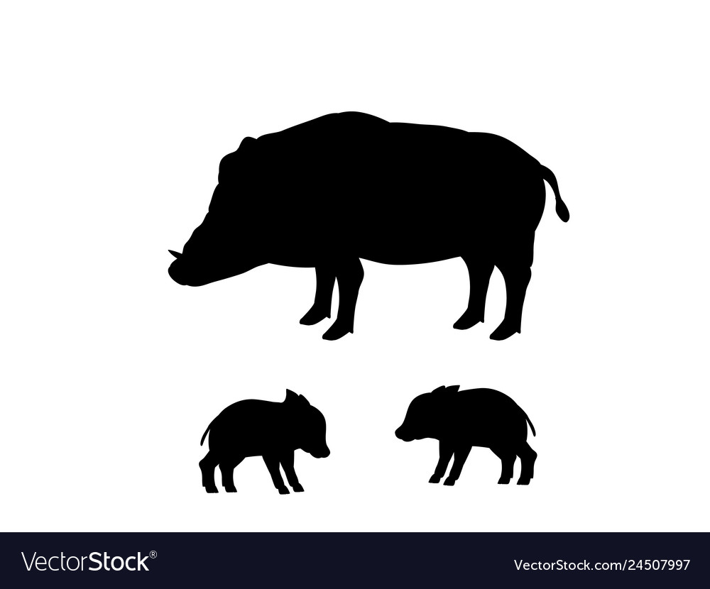 boar silhouette