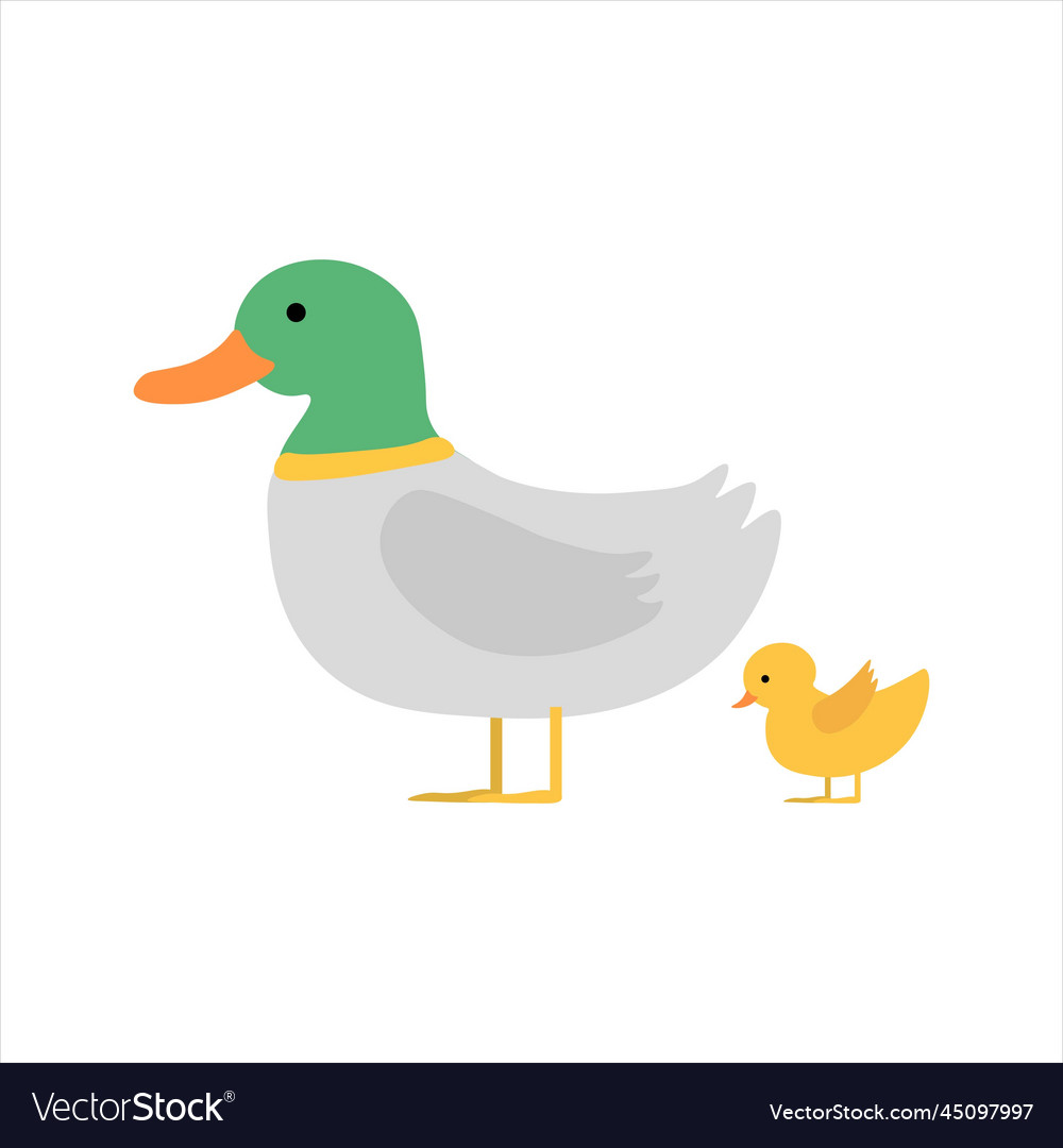 Cute duck mother and child Royalty Free Vector Image