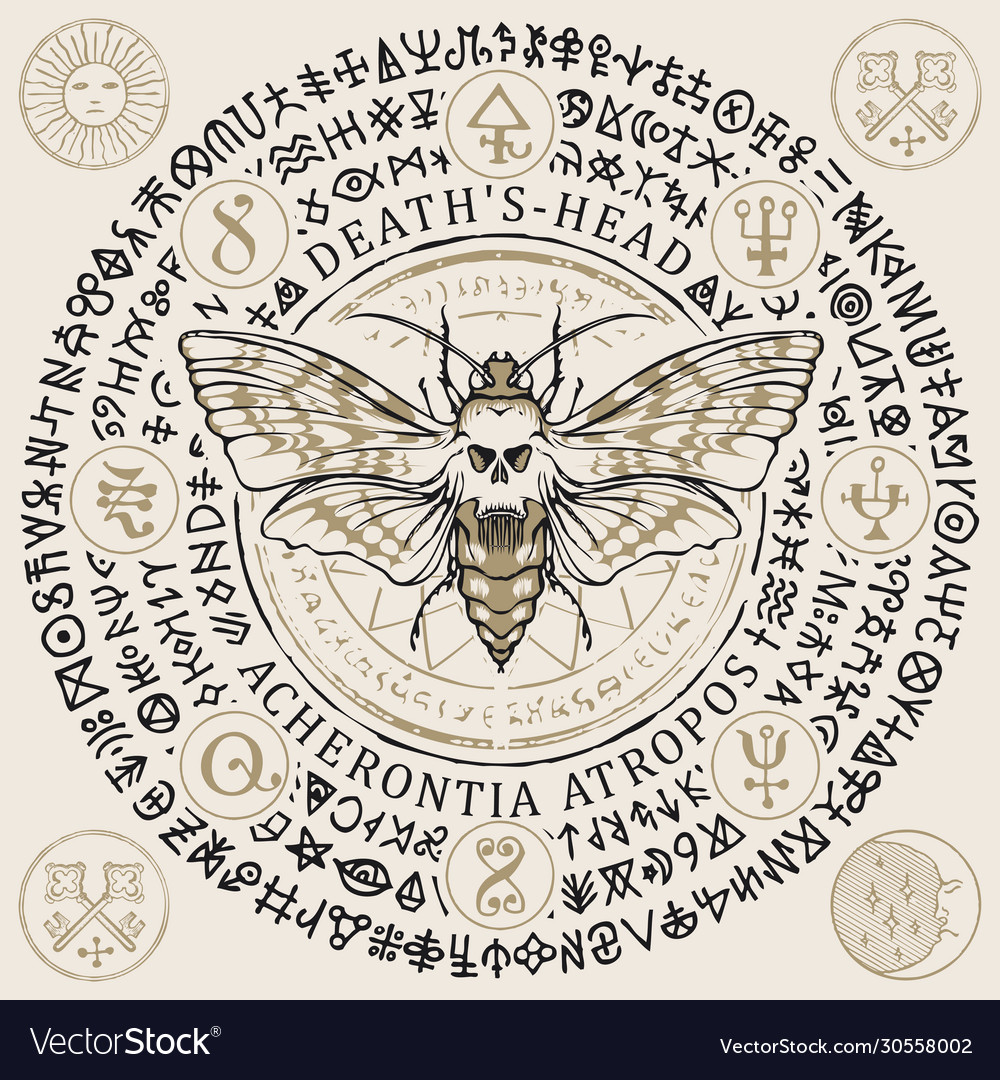 Banner with hand-drawn moth and magical symbols Vector Image