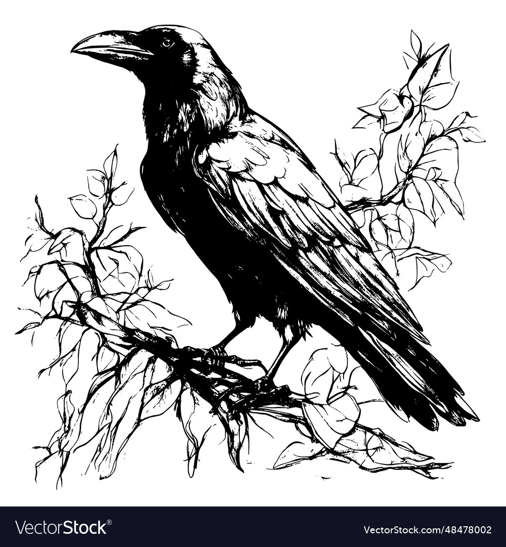 Crow animal for design sketch