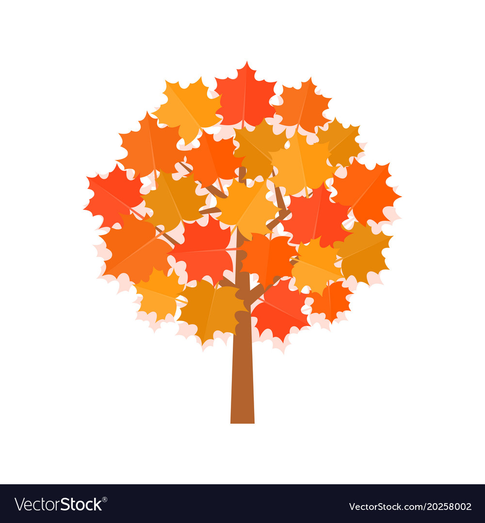 Maple tree with yellow leaves Royalty Free Vector Image