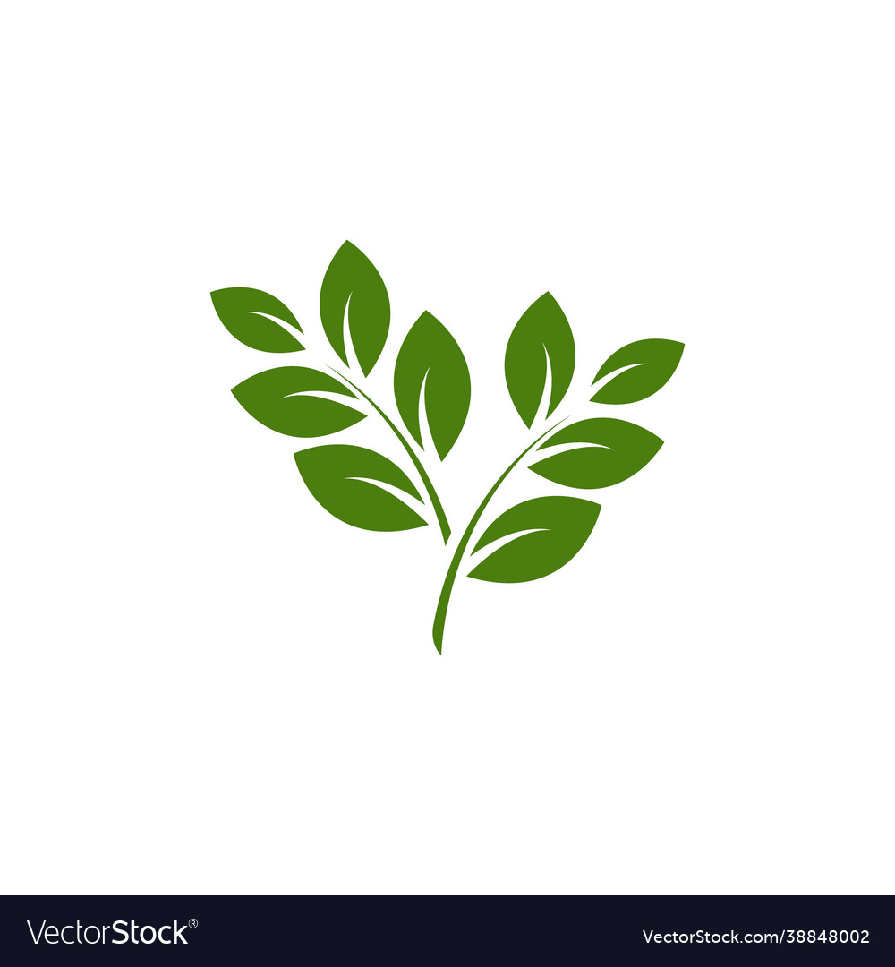 Tree branch design vector image Tree branch design