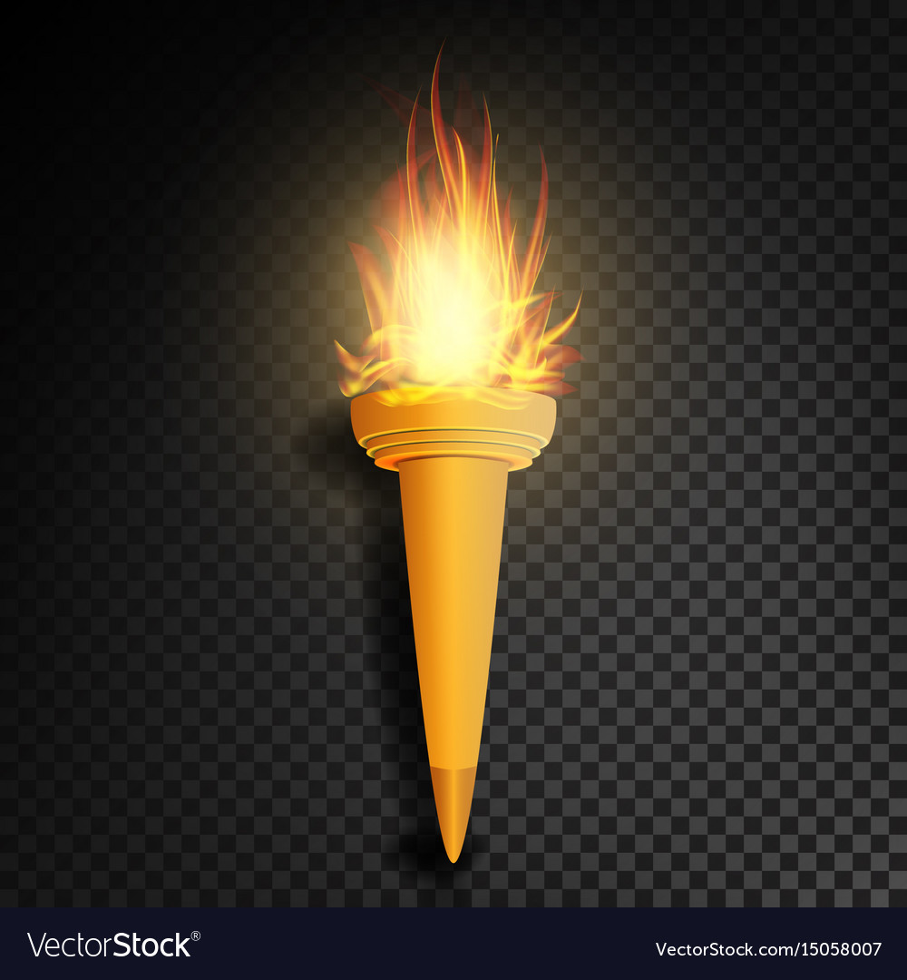 Torch with flame burning in dark transparent Vector Image