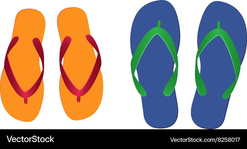 Flip flops isolated Royalty Free Vector Image - VectorStock