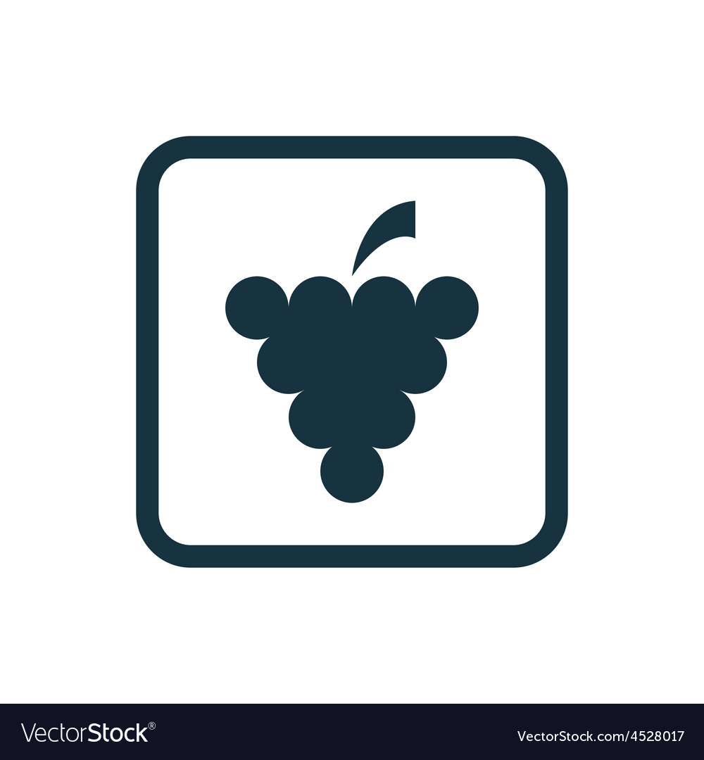 Grapes icon rounded squares button