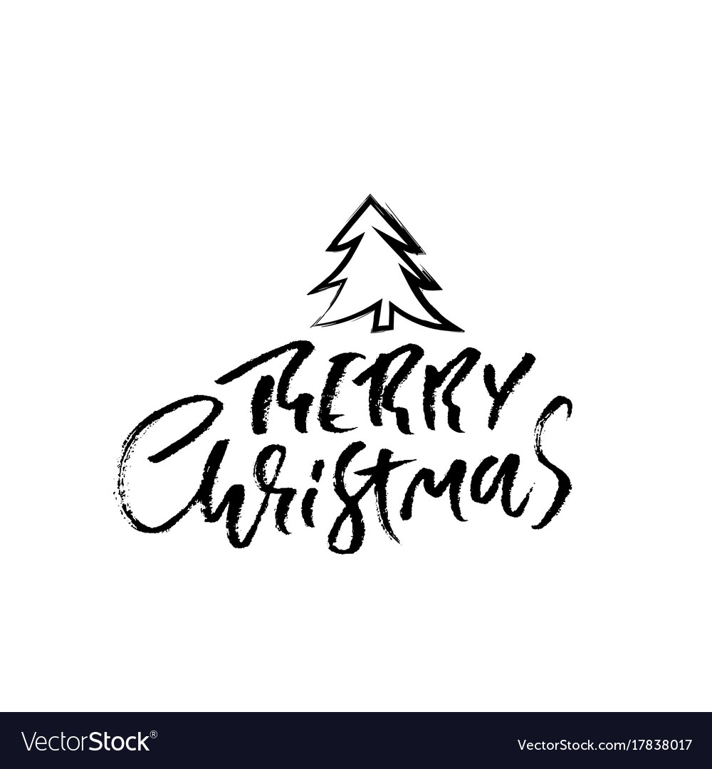 Hand drawn phrase merry christmas modern dry Vector Image