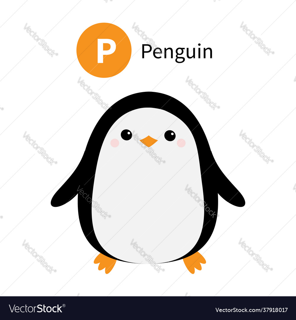 Letter p penguin zoo animal alphabet english abc