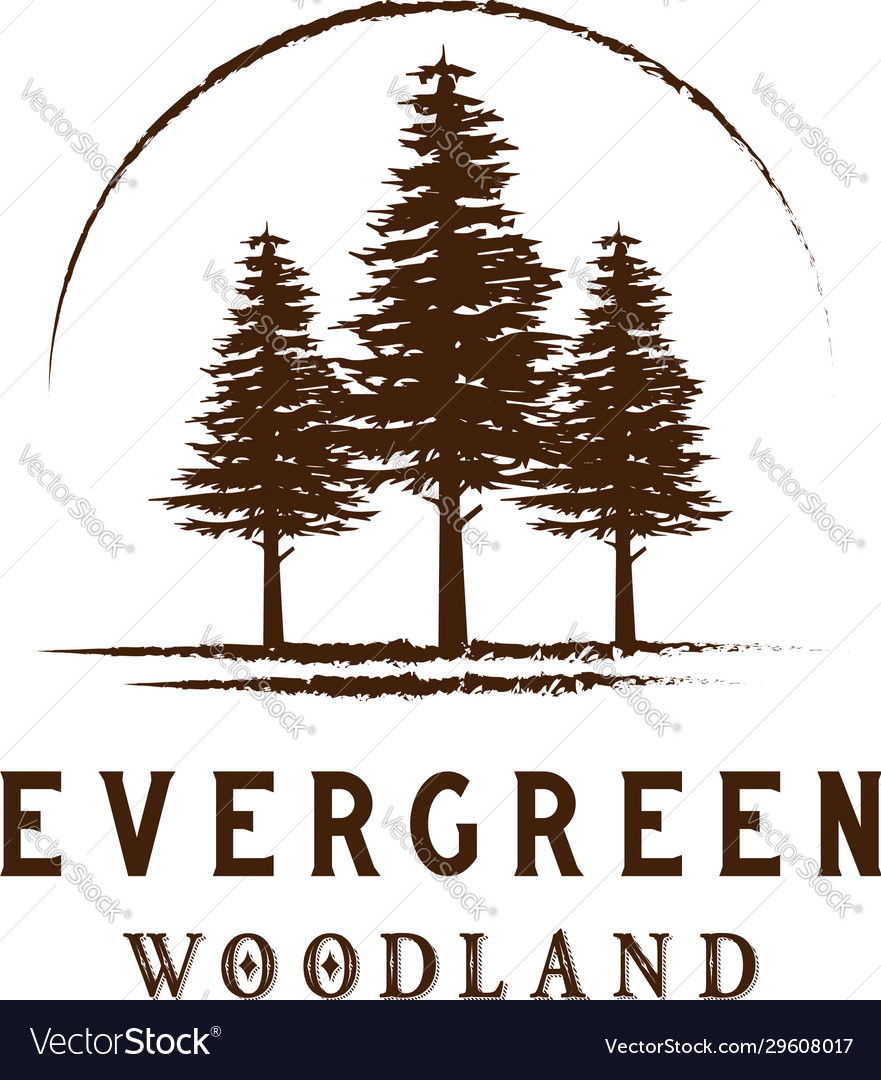 Rustic Woodland Pine Logo