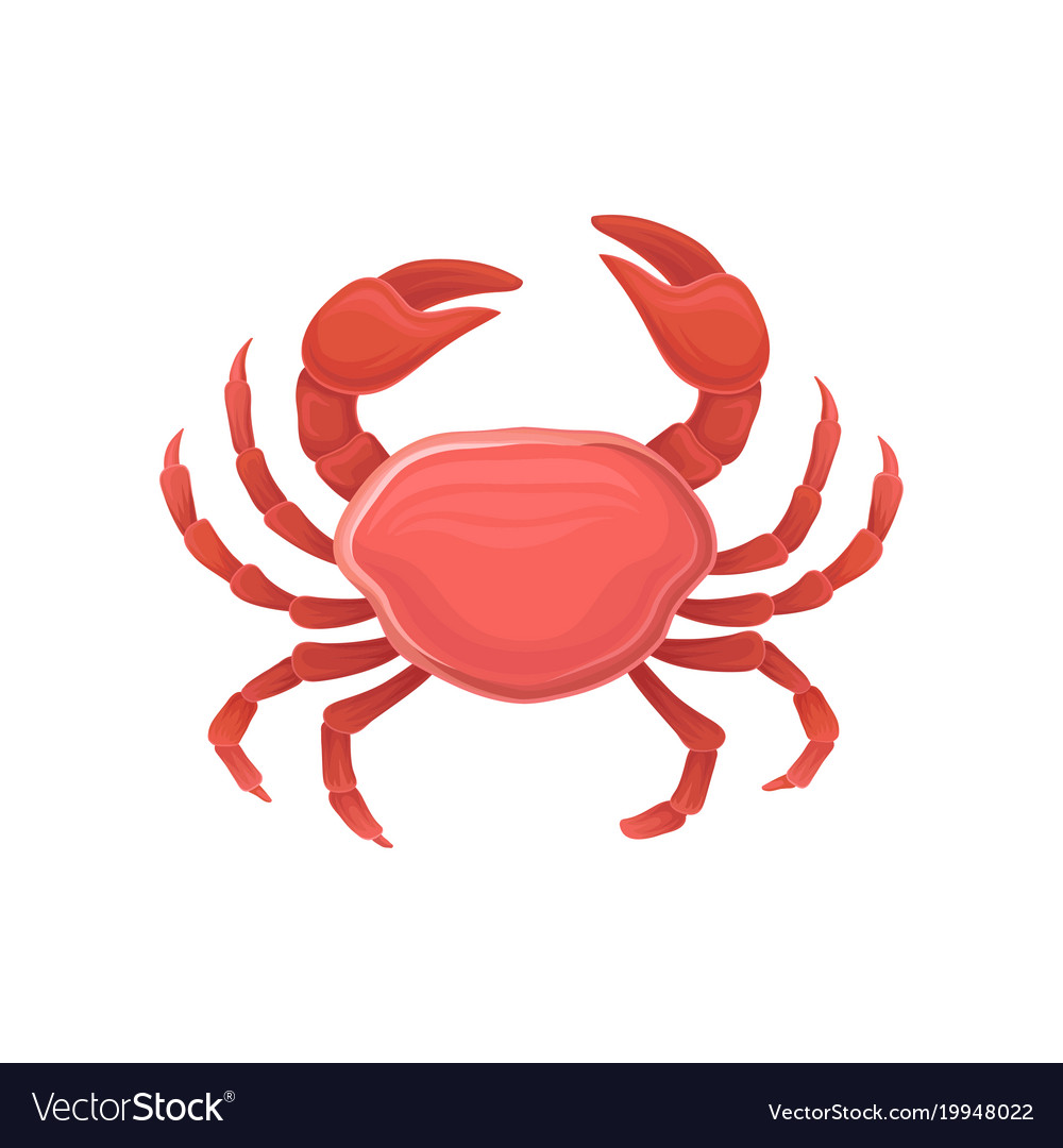 Cartoon icon with red crab healthy eating marine