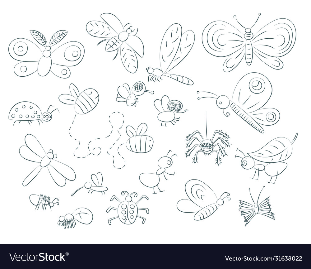 Hand drawn insects vector image Hand drawn insects