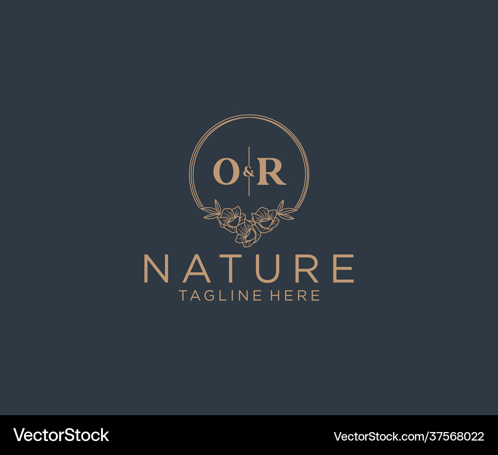 Initial or letters floral frames botanical Vector Image