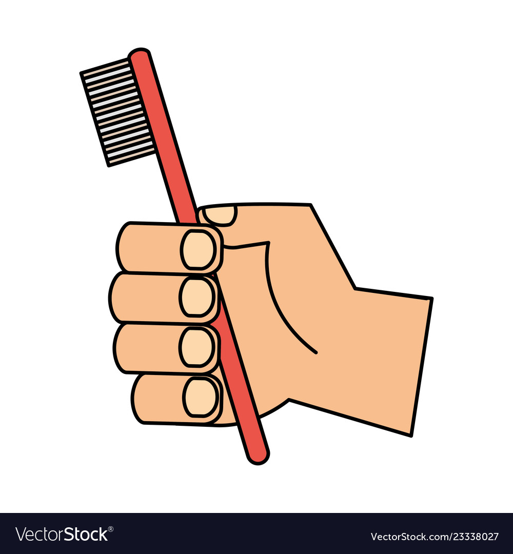 Hand holding toothbrush hygiene oral