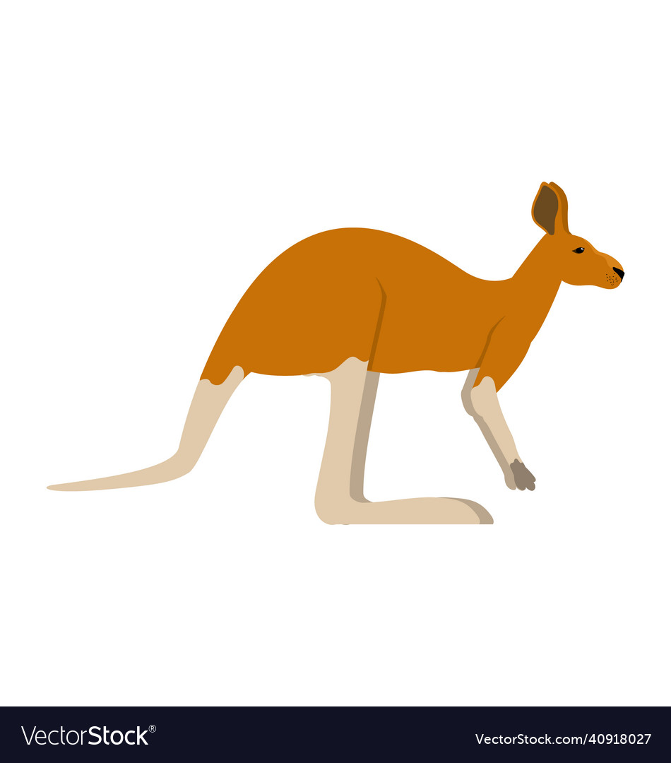 Male red kangaroo - side view - flat